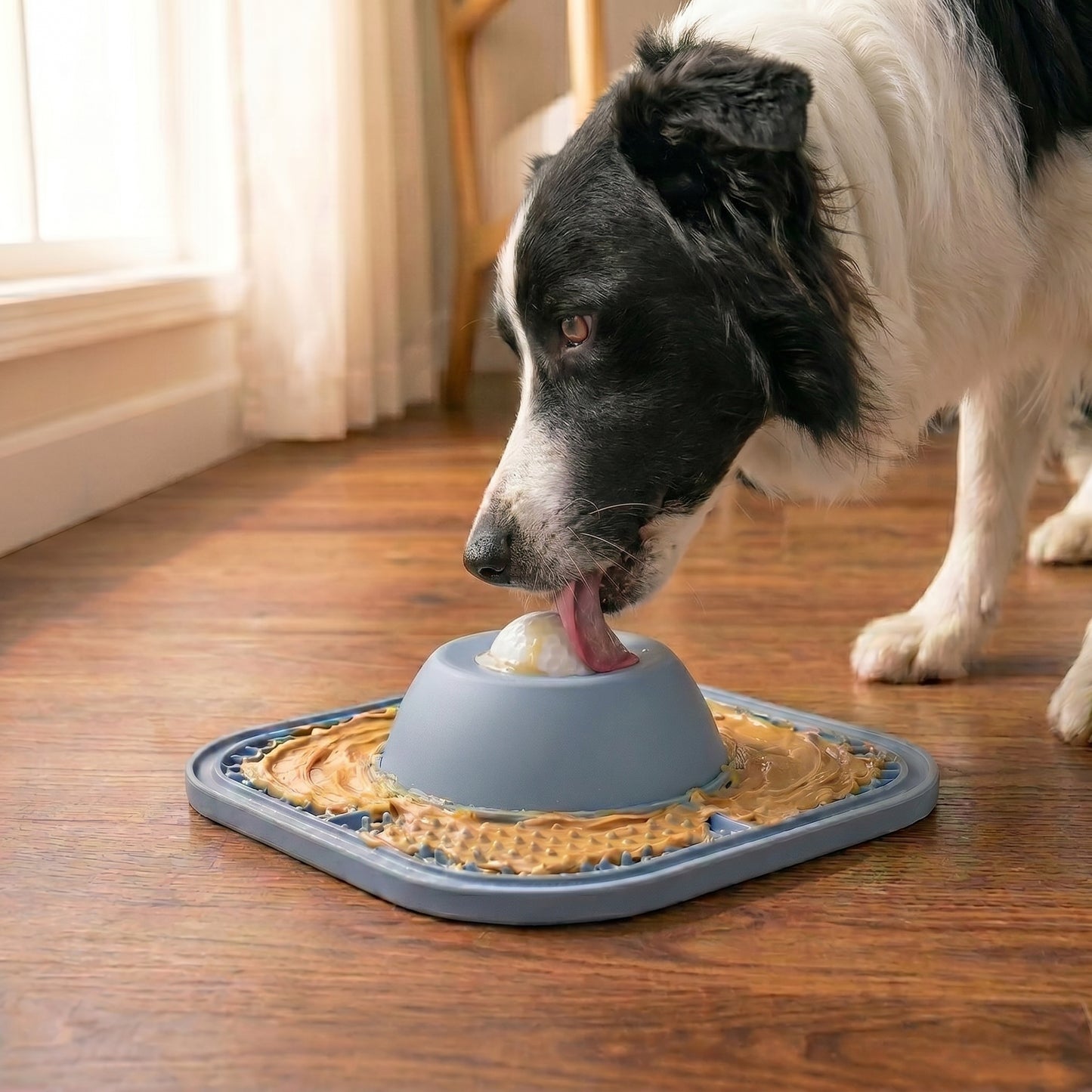 Self-Soothing Mental Stimulation For Anxious Dogs