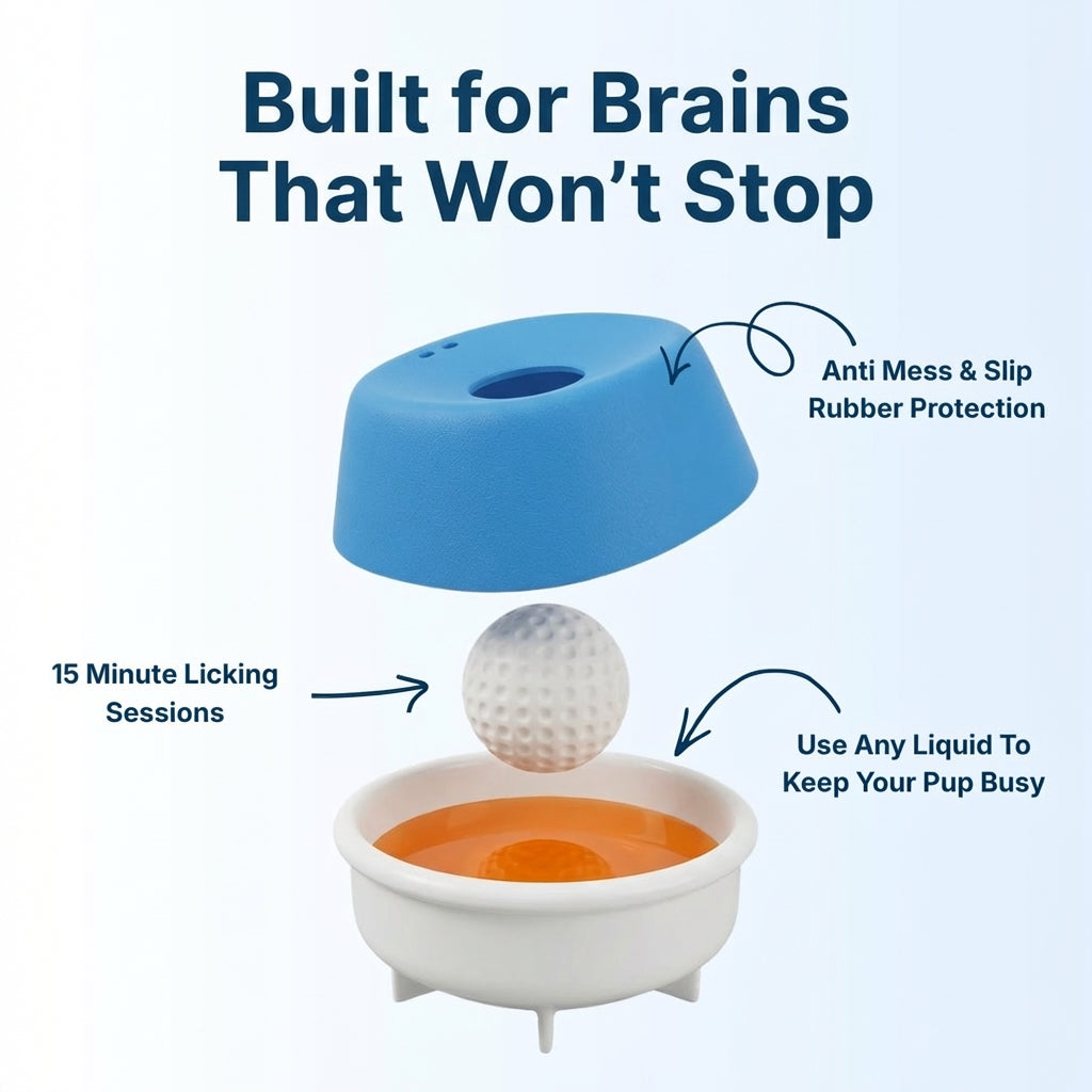 LickCalm™ Paced Lick System for High-Energy Dogs