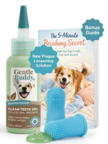 Plaque Prep & Cleanup Bundle