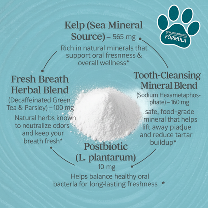 Gentle Buddy™ - Dental Powder for Dogs