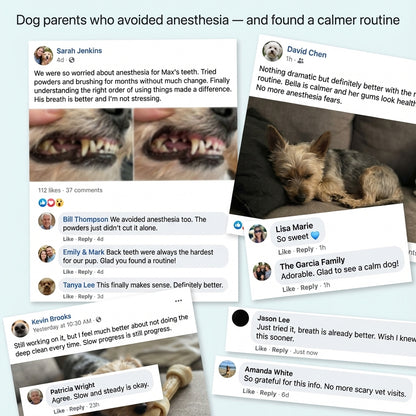 The Complete No-Anesthesia Dental System