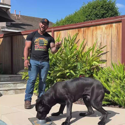Self-Soothing Mental Stimulation For Anxious Dogs